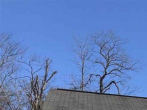 5989 Ethan Dr. Burlington, KY 41005